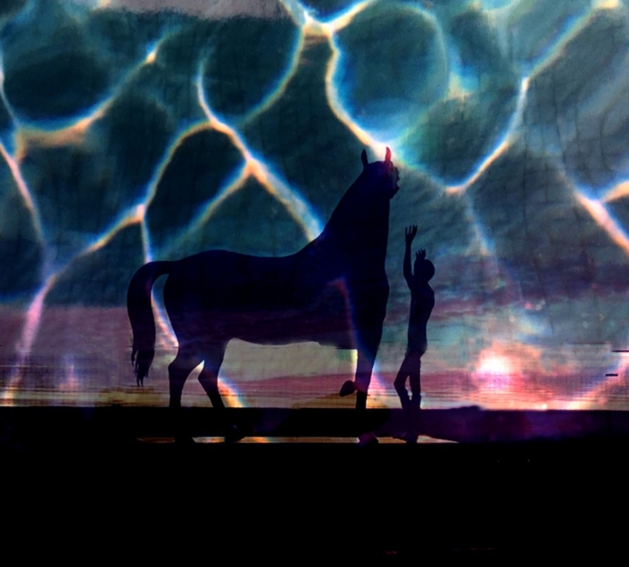 Cheval effets de lumière