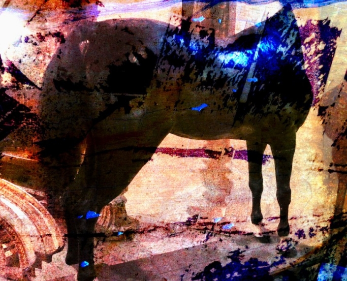 Cheval noir graphique