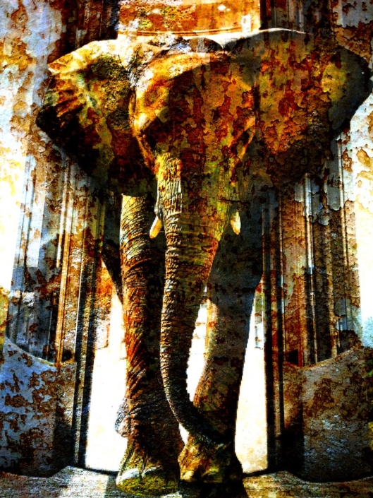 Eléphant de brocard